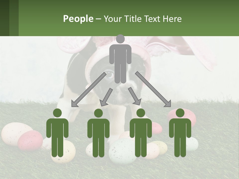 A Small Dog Wearing A Pink Bunny Costume PowerPoint Template