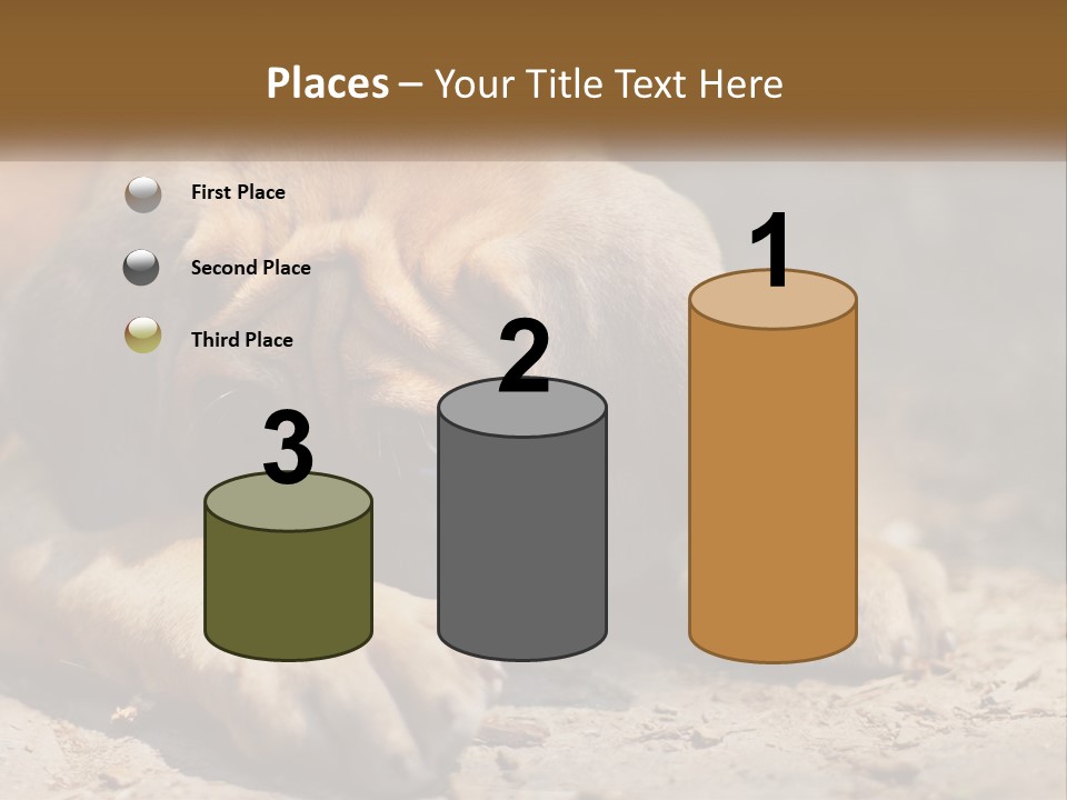 A Brown Dog Laying Down On The Ground PowerPoint Template