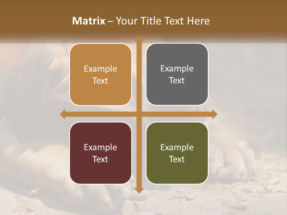 A Brown Dog Laying Down On The Ground PowerPoint Template