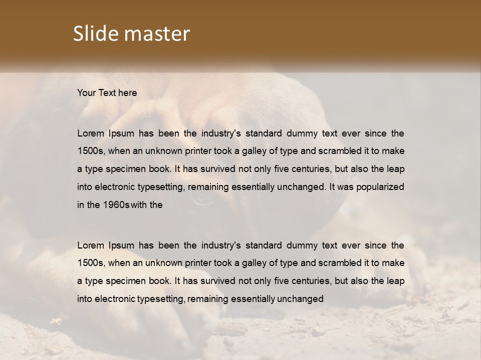 A Brown Dog Laying Down On The Ground PowerPoint Template
