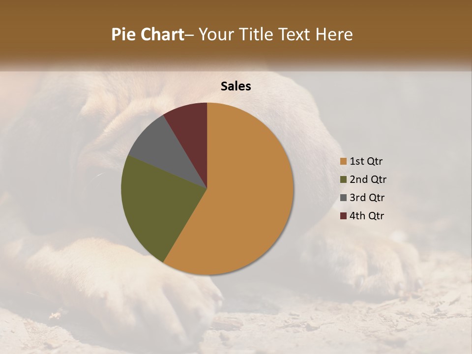 A Brown Dog Laying Down On The Ground PowerPoint Template