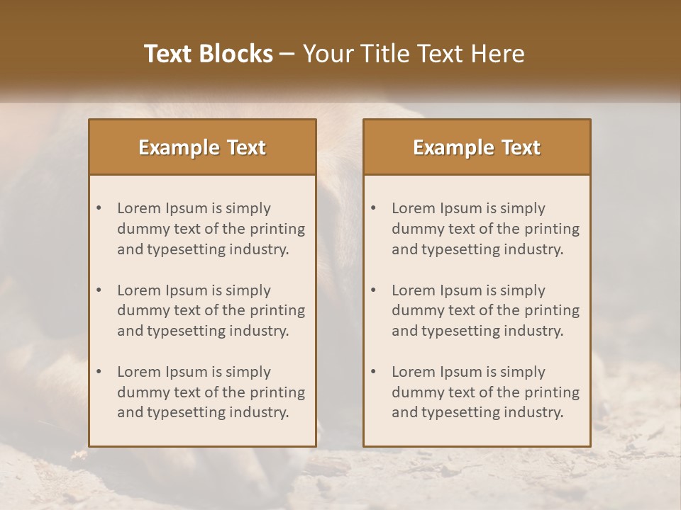 A Brown Dog Laying Down On The Ground PowerPoint Template