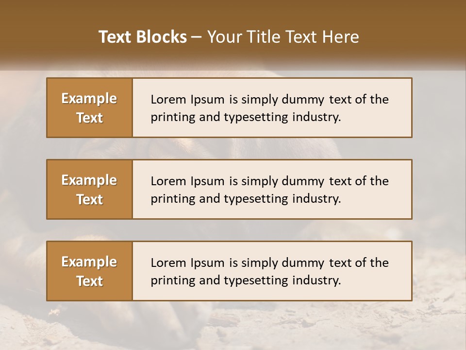 A Brown Dog Laying Down On The Ground PowerPoint Template