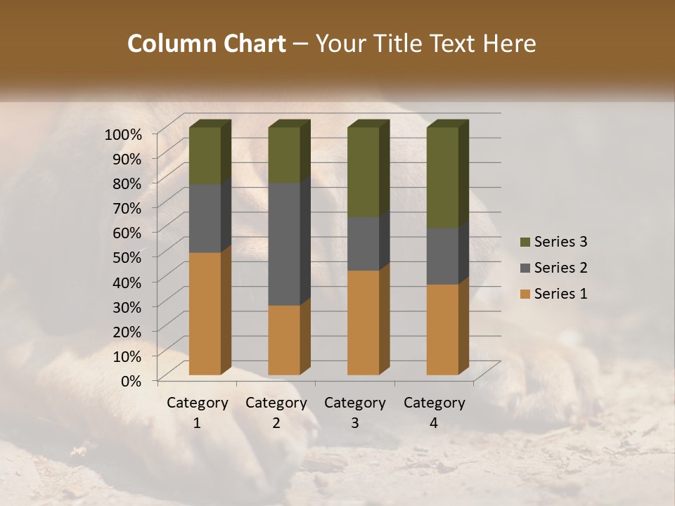 A Brown Dog Laying Down On The Ground PowerPoint Template