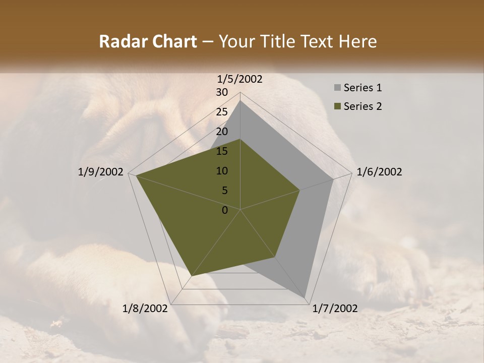 A Brown Dog Laying Down On The Ground PowerPoint Template