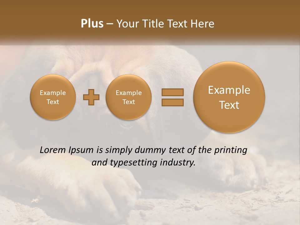 A Brown Dog Laying Down On The Ground PowerPoint Template