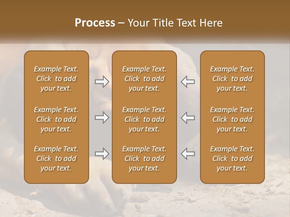 A Brown Dog Laying Down On The Ground PowerPoint Template