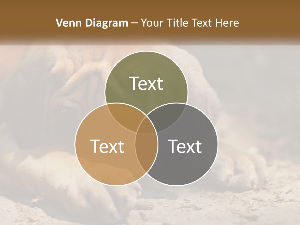 A Brown Dog Laying Down On The Ground PowerPoint Template