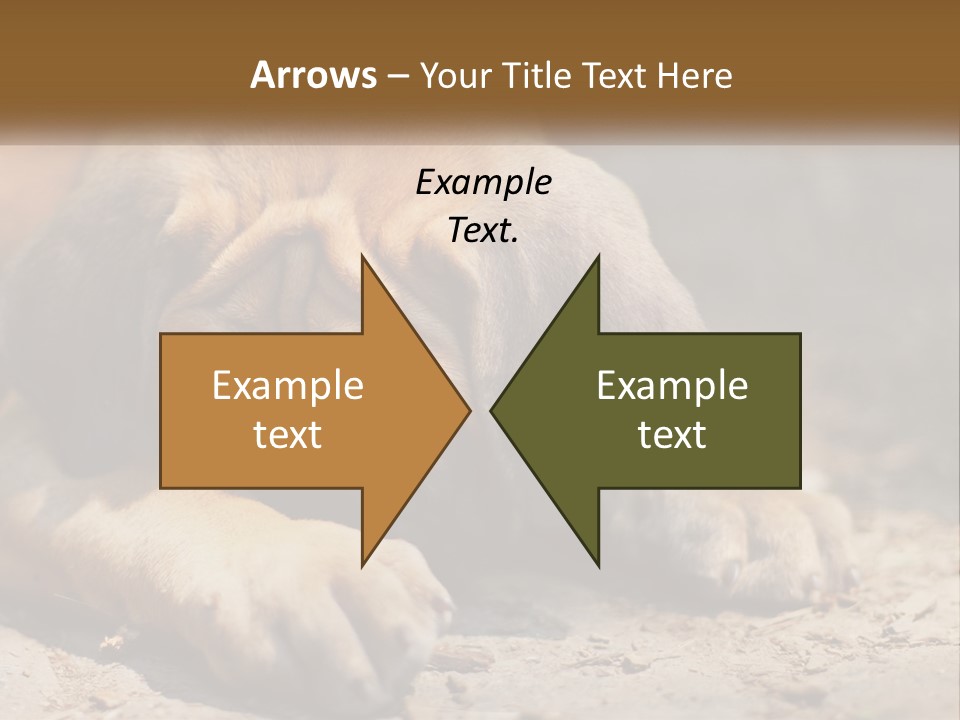 A Brown Dog Laying Down On The Ground PowerPoint Template