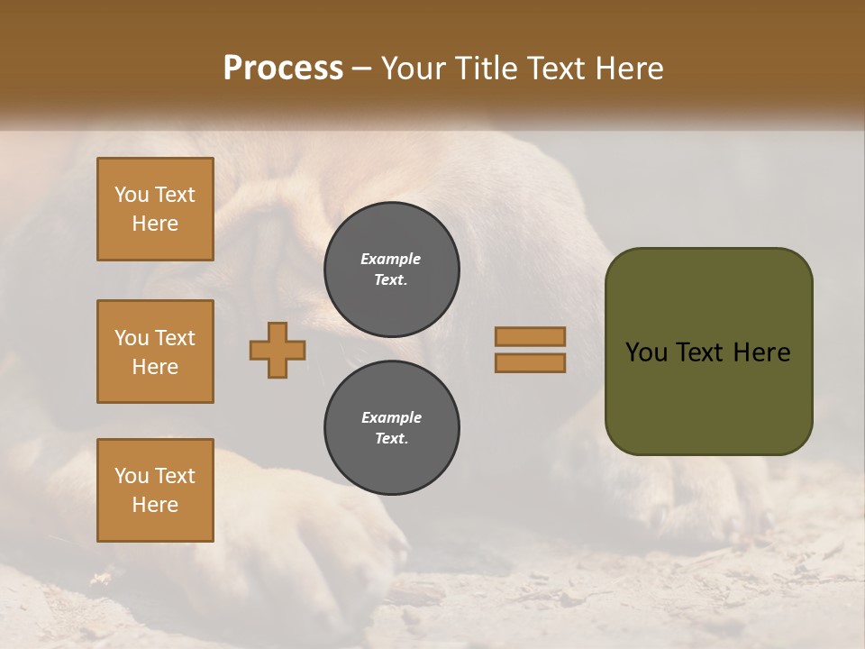 A Brown Dog Laying Down On The Ground PowerPoint Template