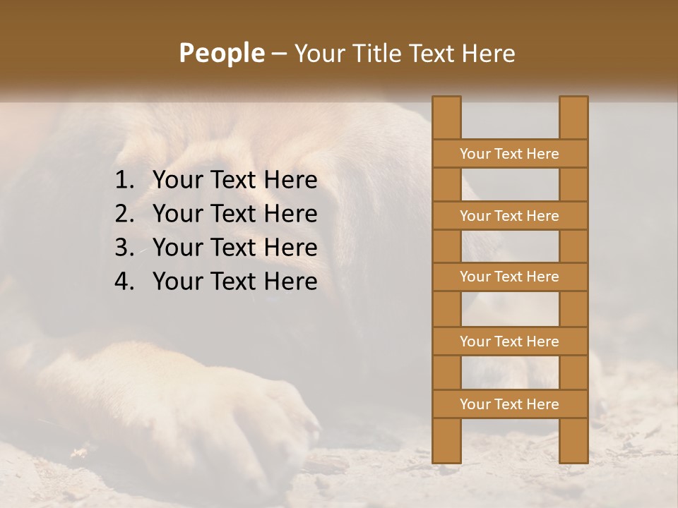 A Brown Dog Laying Down On The Ground PowerPoint Template