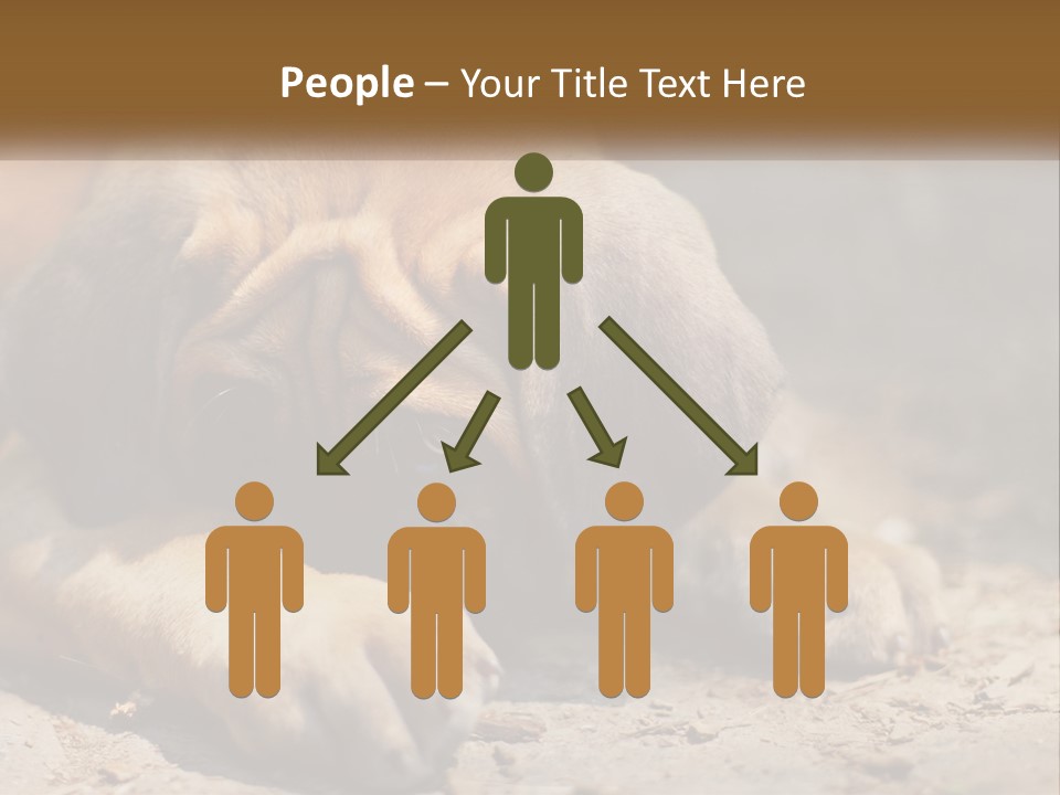 A Brown Dog Laying Down On The Ground PowerPoint Template