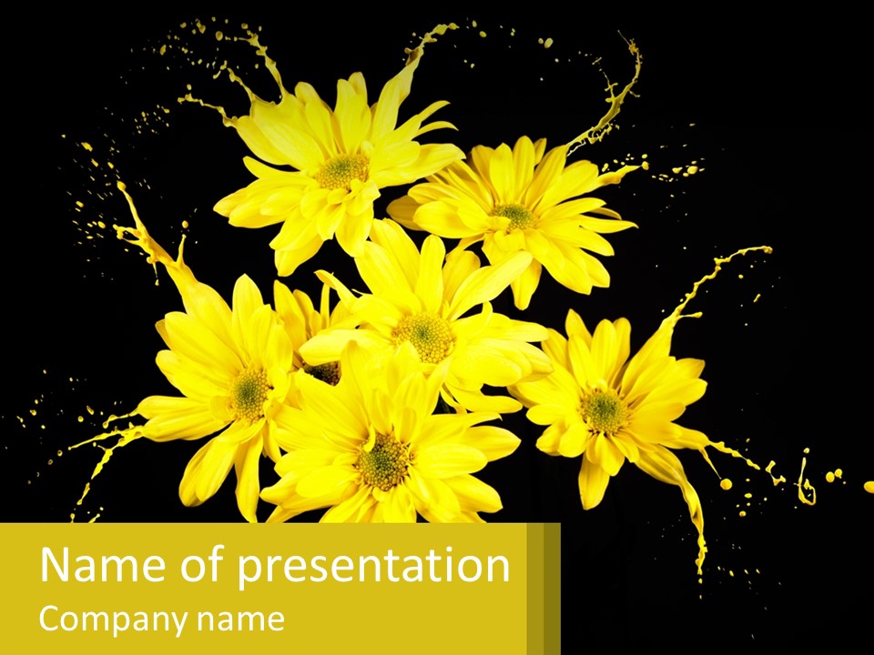A Bunch Of Yellow Flowers On A Black Background PowerPoint Template