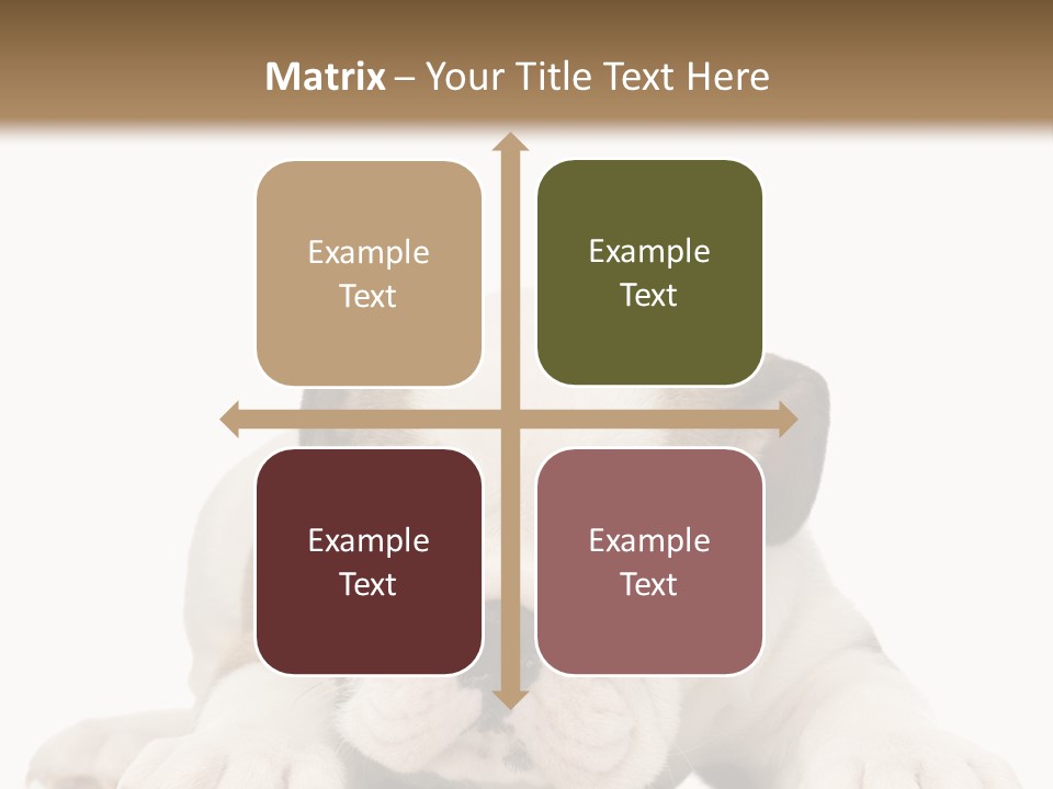 A Puppy Laying Down On The Ground With A White Background PowerPoint Template