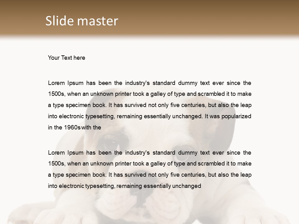 A Puppy Laying Down On The Ground With A White Background PowerPoint Template