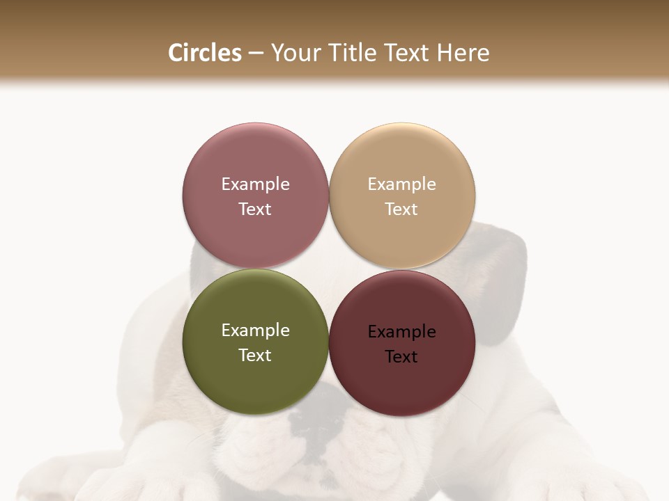 A Puppy Laying Down On The Ground With A White Background PowerPoint Template