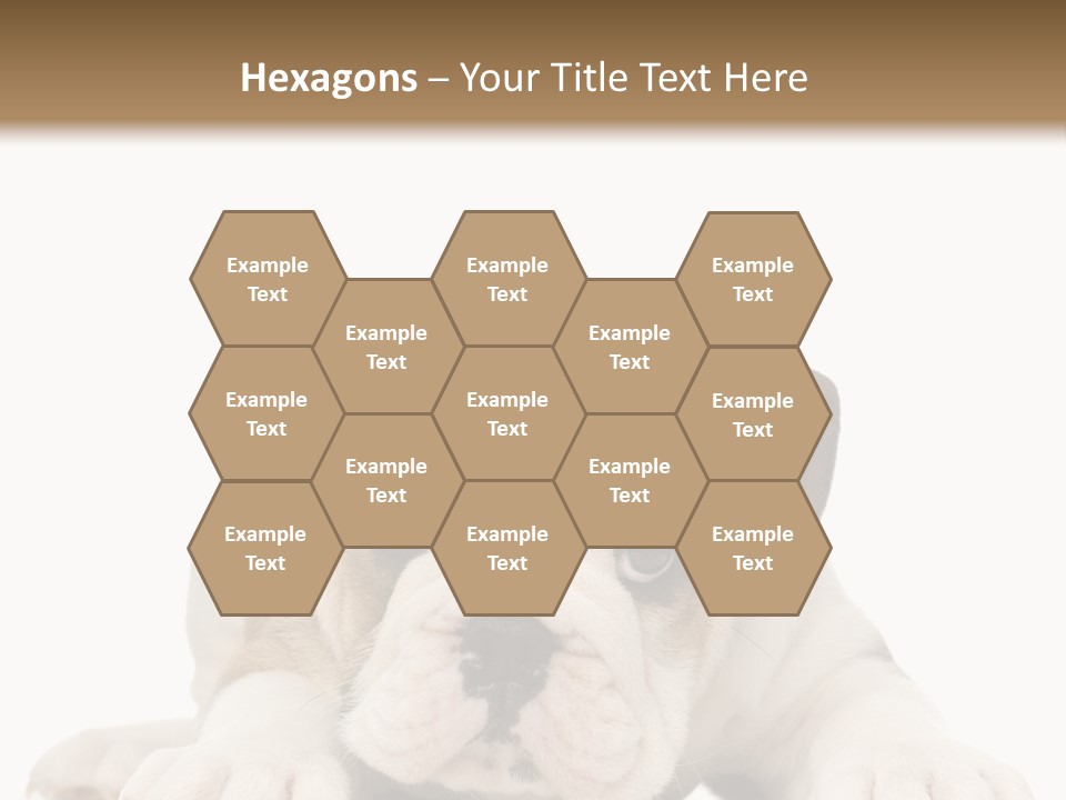 A Puppy Laying Down On The Ground With A White Background PowerPoint Template