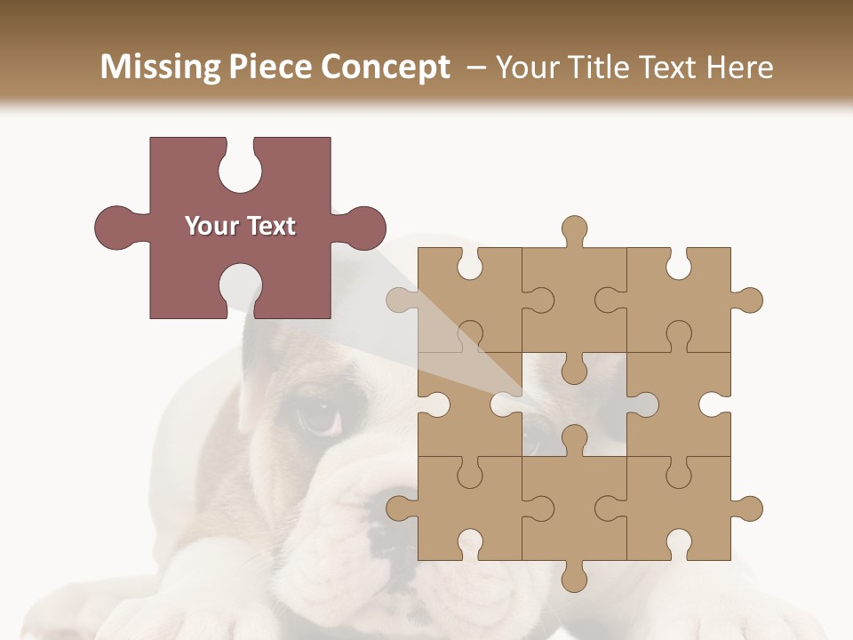 A Puppy Laying Down On The Ground With A White Background PowerPoint Template