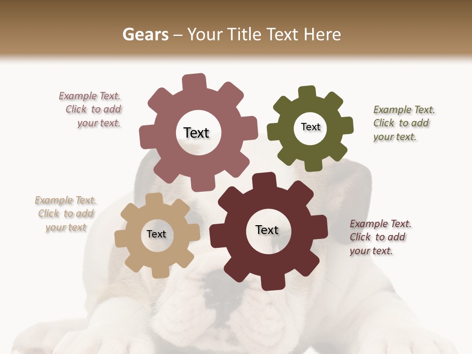 A Puppy Laying Down On The Ground With A White Background PowerPoint Template