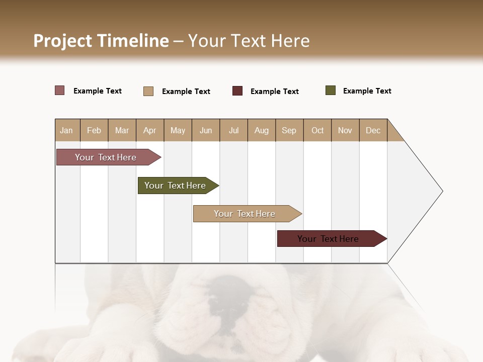 A Puppy Laying Down On The Ground With A White Background PowerPoint Template