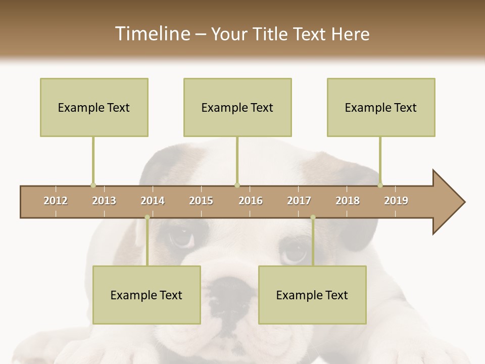 A Puppy Laying Down On The Ground With A White Background PowerPoint Template
