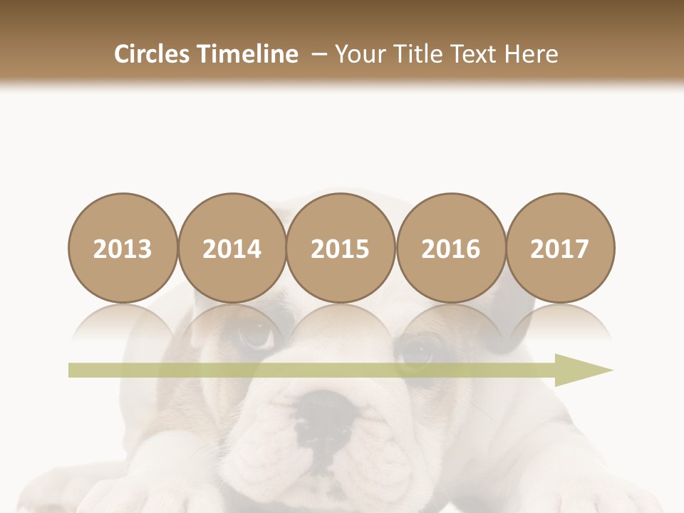 A Puppy Laying Down On The Ground With A White Background PowerPoint Template