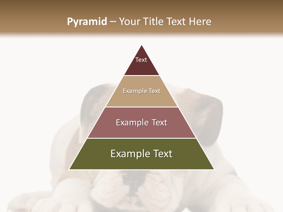 A Puppy Laying Down On The Ground With A White Background PowerPoint Template