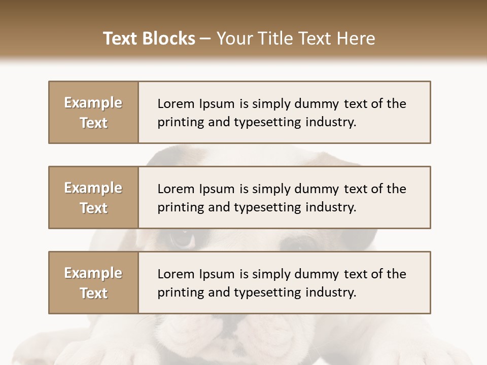 A Puppy Laying Down On The Ground With A White Background PowerPoint Template