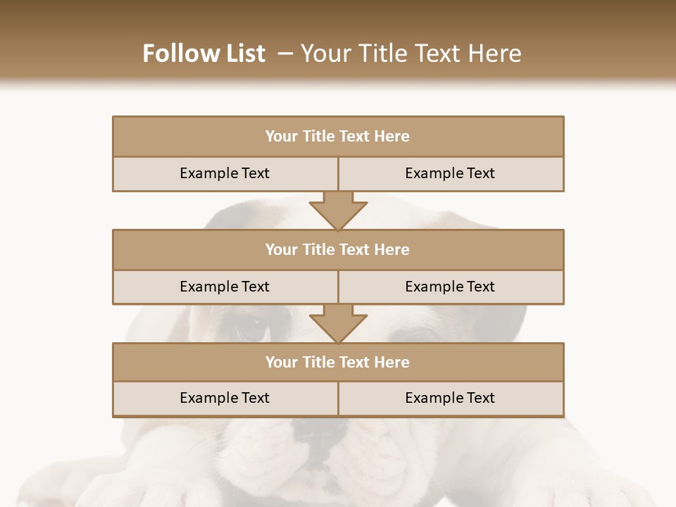 A Puppy Laying Down On The Ground With A White Background PowerPoint Template
