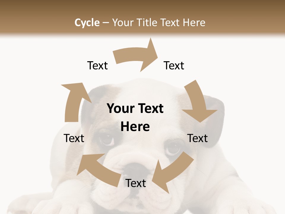 A Puppy Laying Down On The Ground With A White Background PowerPoint Template