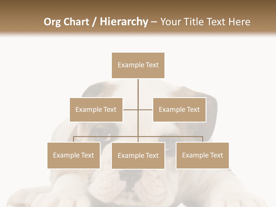 A Puppy Laying Down On The Ground With A White Background PowerPoint Template
