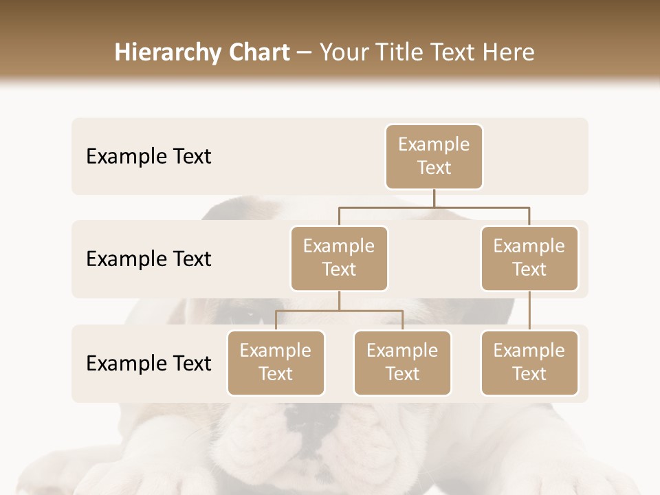 A Puppy Laying Down On The Ground With A White Background PowerPoint Template