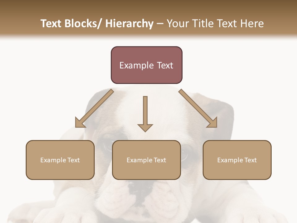 A Puppy Laying Down On The Ground With A White Background PowerPoint Template