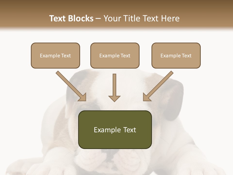 A Puppy Laying Down On The Ground With A White Background PowerPoint Template