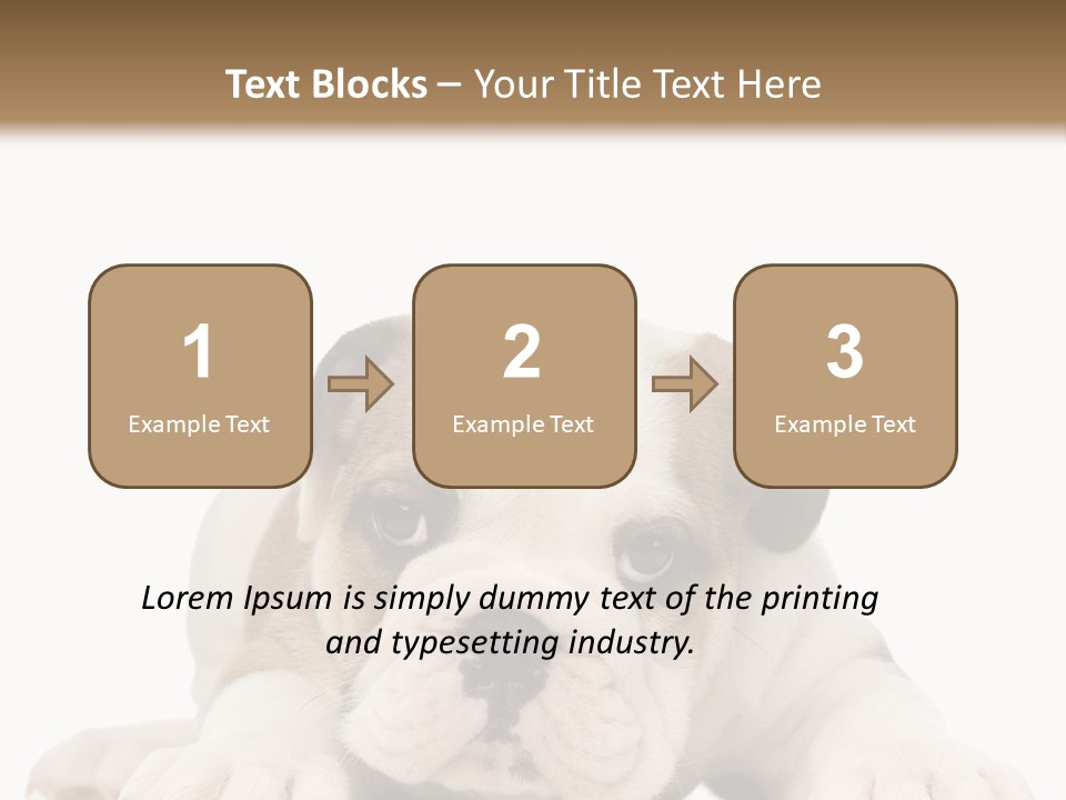 A Puppy Laying Down On The Ground With A White Background PowerPoint Template