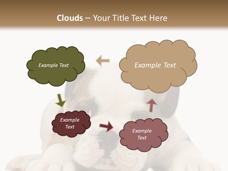 A Puppy Laying Down On The Ground With A White Background PowerPoint Template