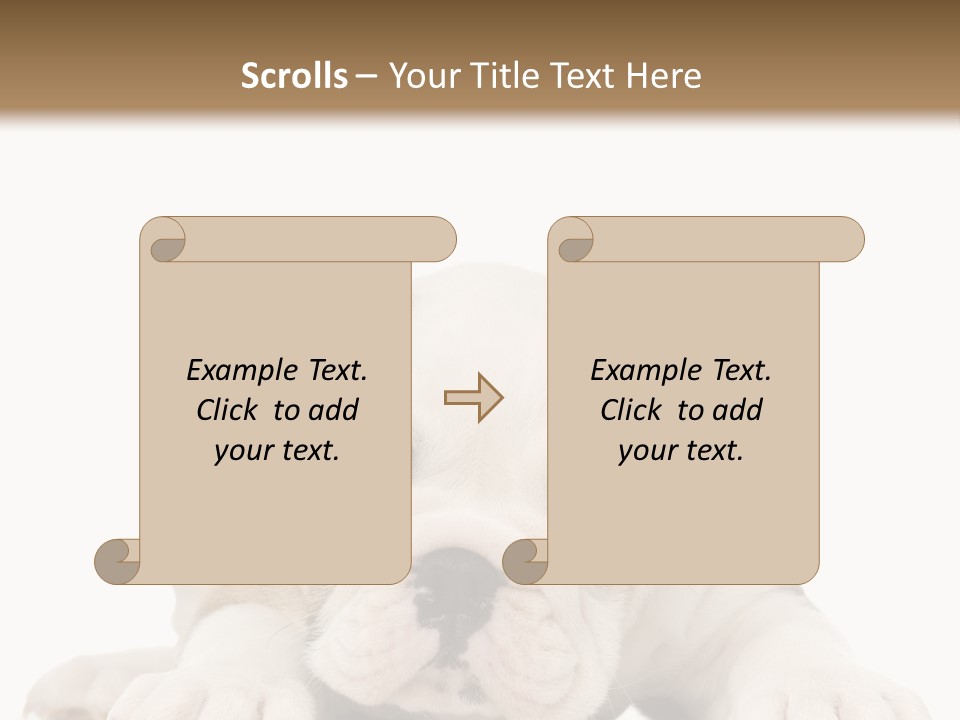 A Puppy Laying Down On The Ground With A White Background PowerPoint Template