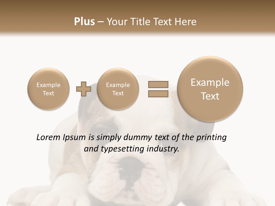 A Puppy Laying Down On The Ground With A White Background PowerPoint Template