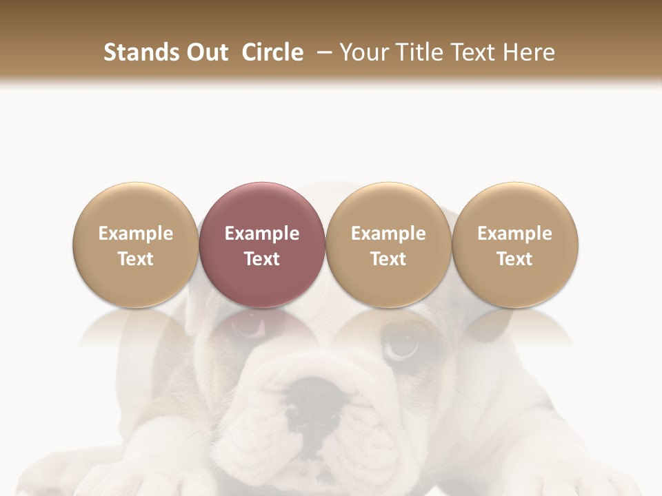 A Puppy Laying Down On The Ground With A White Background PowerPoint Template