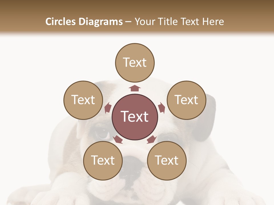 A Puppy Laying Down On The Ground With A White Background PowerPoint Template