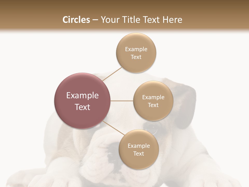 A Puppy Laying Down On The Ground With A White Background PowerPoint Template