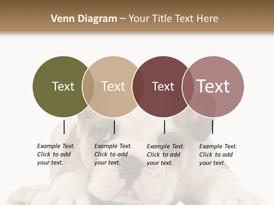 A Puppy Laying Down On The Ground With A White Background PowerPoint Template