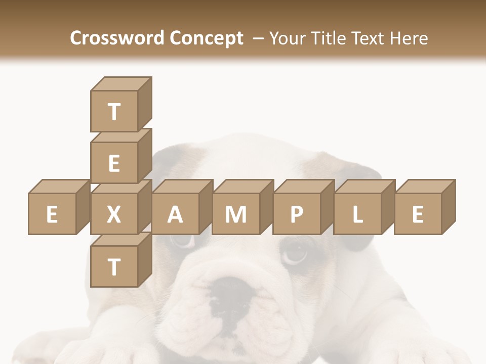 A Puppy Laying Down On The Ground With A White Background PowerPoint Template