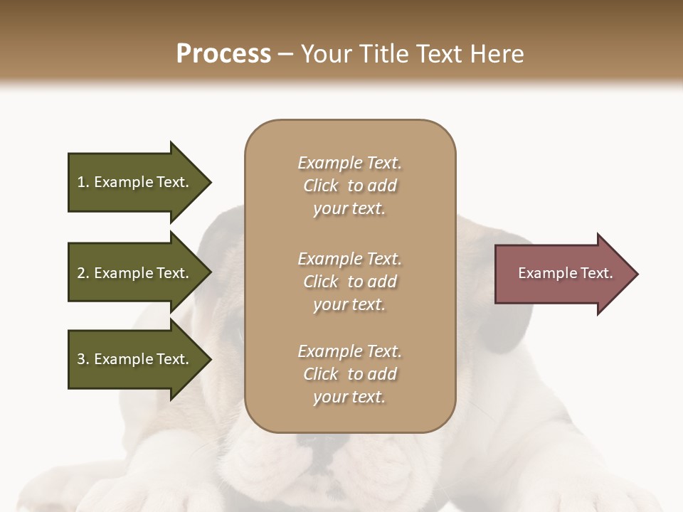 A Puppy Laying Down On The Ground With A White Background PowerPoint Template