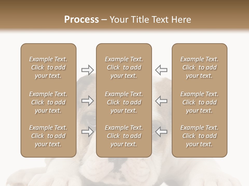 A Puppy Laying Down On The Ground With A White Background PowerPoint Template