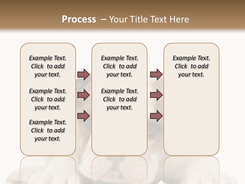A Puppy Laying Down On The Ground With A White Background PowerPoint Template