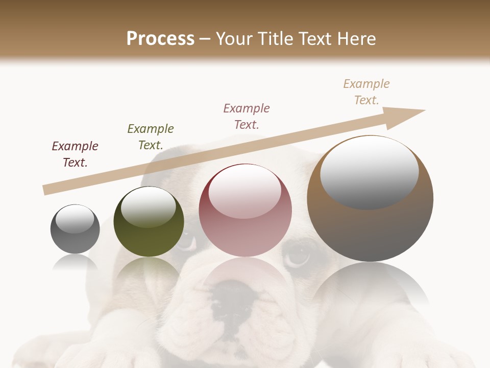 A Puppy Laying Down On The Ground With A White Background PowerPoint Template