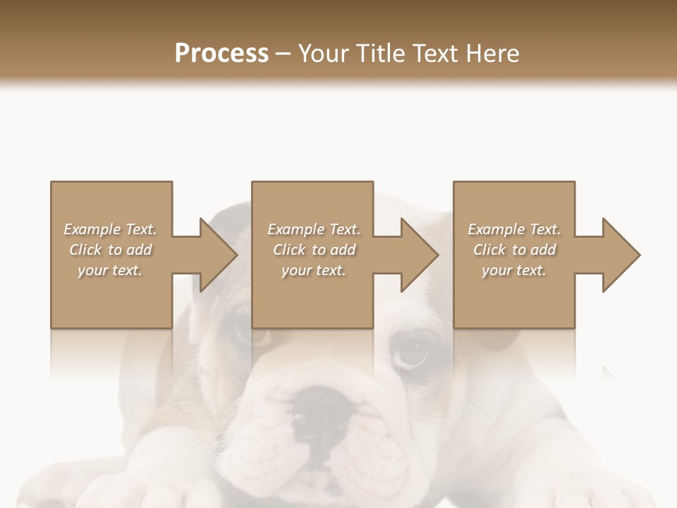 A Puppy Laying Down On The Ground With A White Background PowerPoint Template