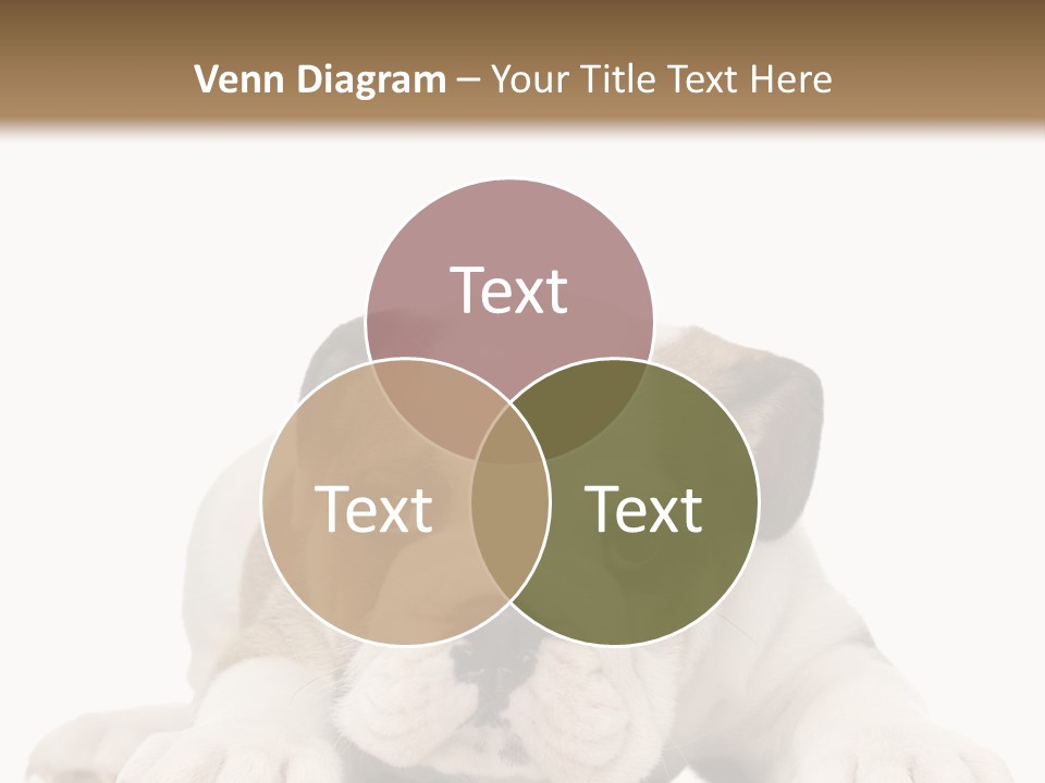 A Puppy Laying Down On The Ground With A White Background PowerPoint Template