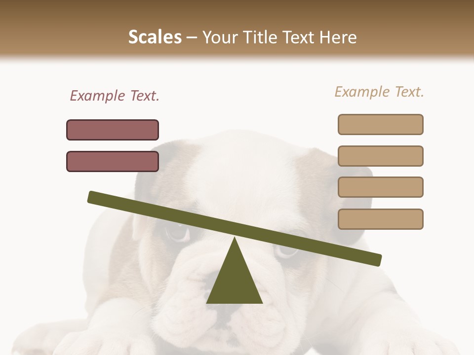 A Puppy Laying Down On The Ground With A White Background PowerPoint Template